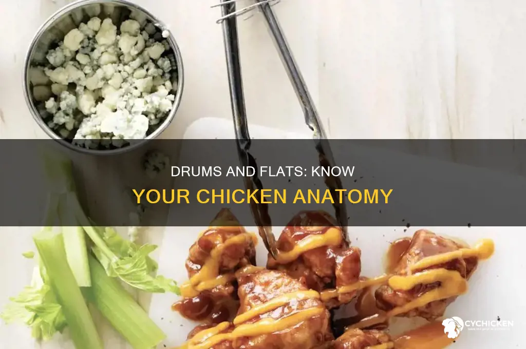 what part of the chicken are drums and flats