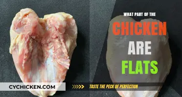Understanding Chicken Flats: Which Part of the Chicken Are They?