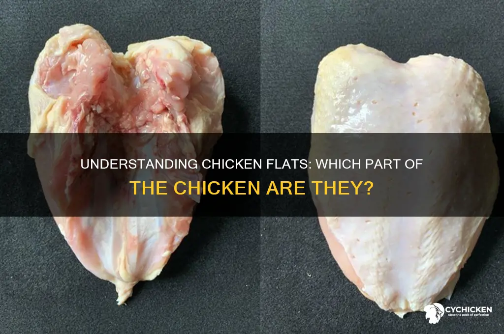 what part of the chicken are flats
