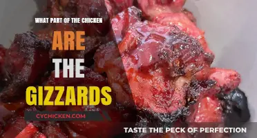 Understanding Chicken Gizzards: Location, Function, and Culinary Uses Explained