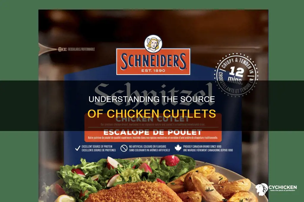 what part of the chicken comes from chicken cutlets