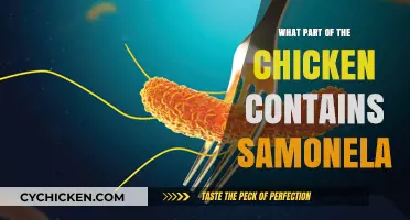 Where Salmonella Hides: Identifying Risky Chicken Parts to Avoid