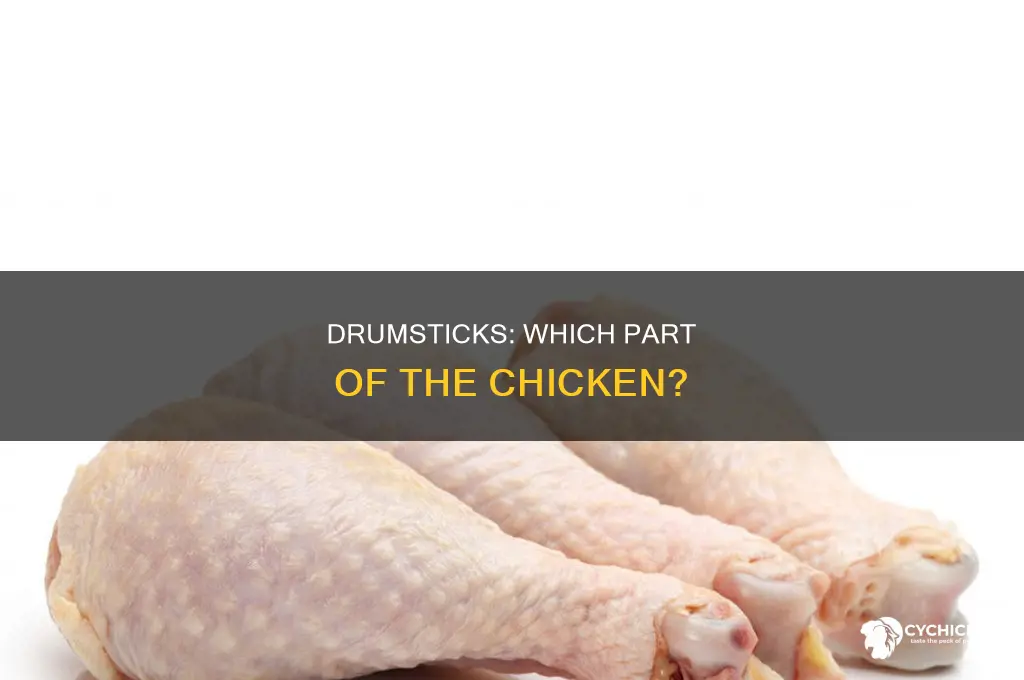 what part of the chicken do drumsticks come from