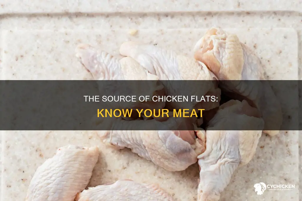 what part of the chicken do flats come from