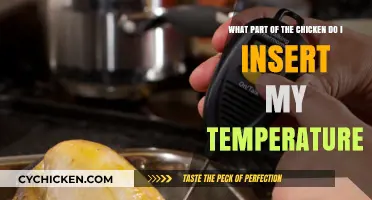 Best Places to Check Chicken Temperature for Perfect Cooking