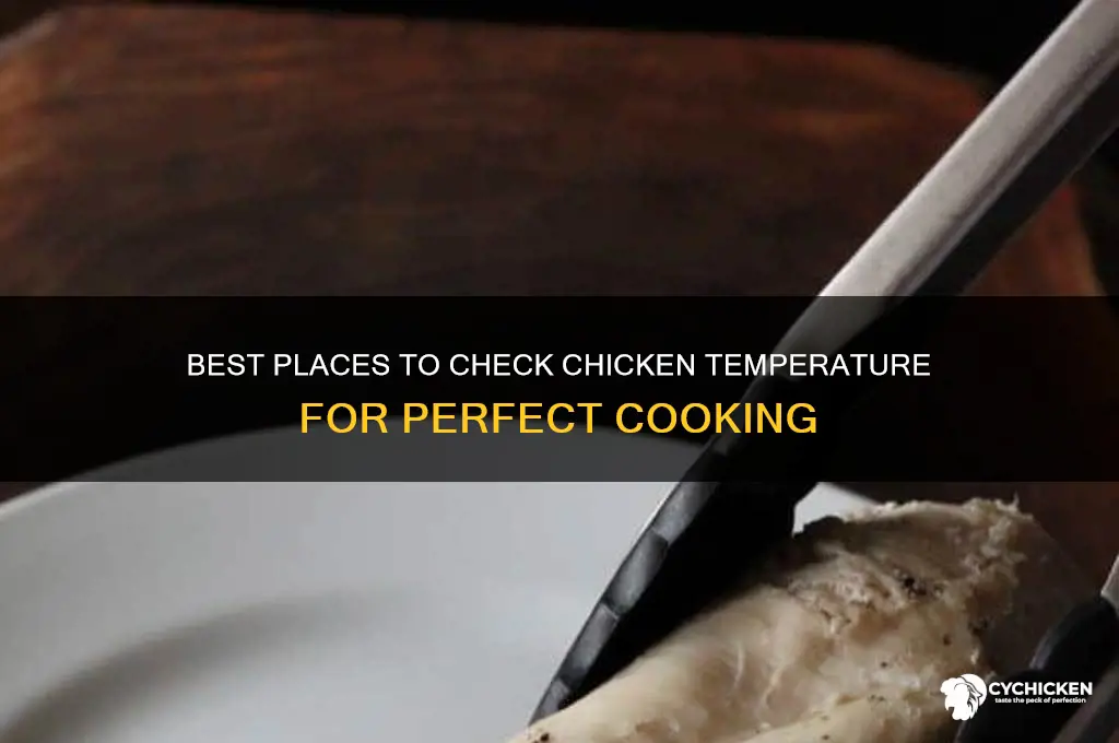 what part of the chicken do i insert my temperature