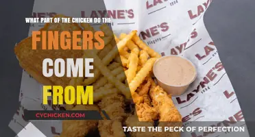 Chicken Fingers: What Part of the Bird?