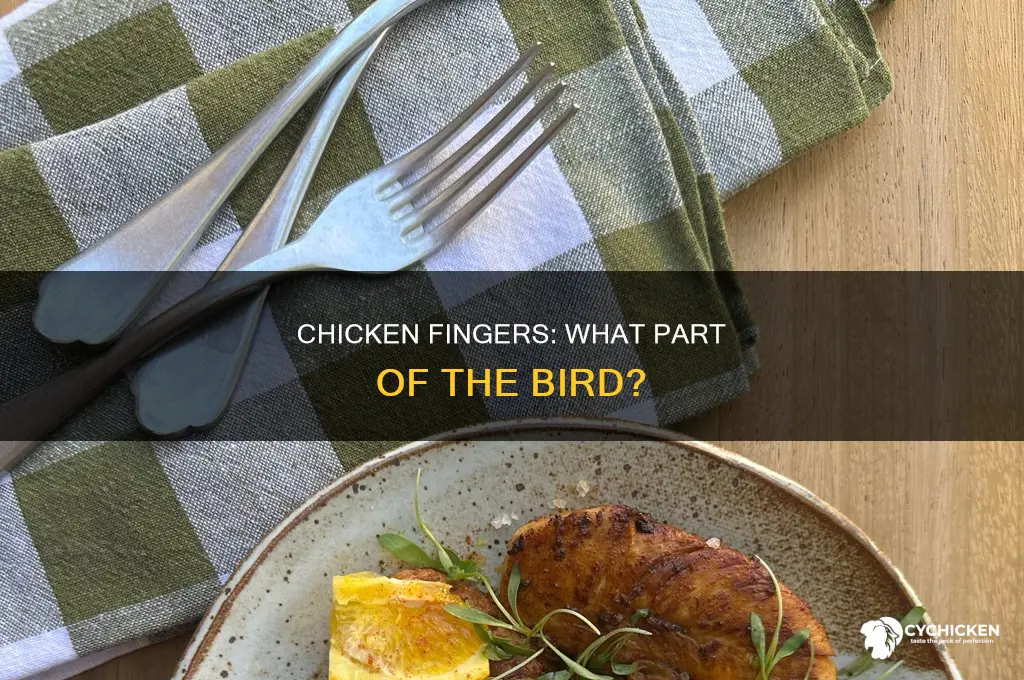 what part of the chicken do the fingers come from