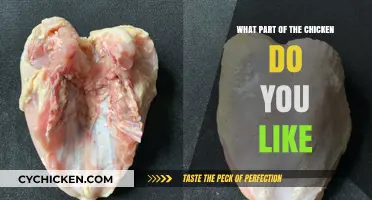 Exploring Chicken Cuts: Which Part Wins Your Taste Buds' Approval?
