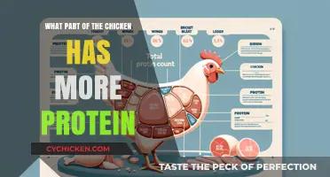 Maximize Your Protein Intake: Discover the Chicken Part with the Most Protein