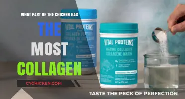 Collagen-Rich Chicken Parts: A Guide to the Best Bits