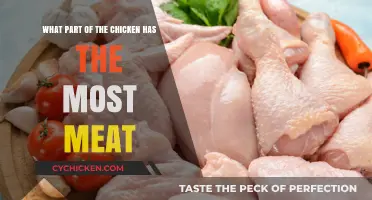 Chicken Anatomy: Where's the Meatiest Part?