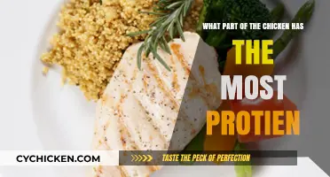 Chicken Protein: The Best Body-Building Meat Portions