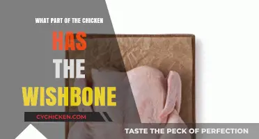 Where to Find the Wishbone: A Chicken Anatomy Guide
