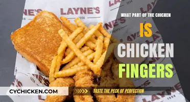 Chicken Fingers Unveiled: Discovering the Poultry Part Behind the Favorite