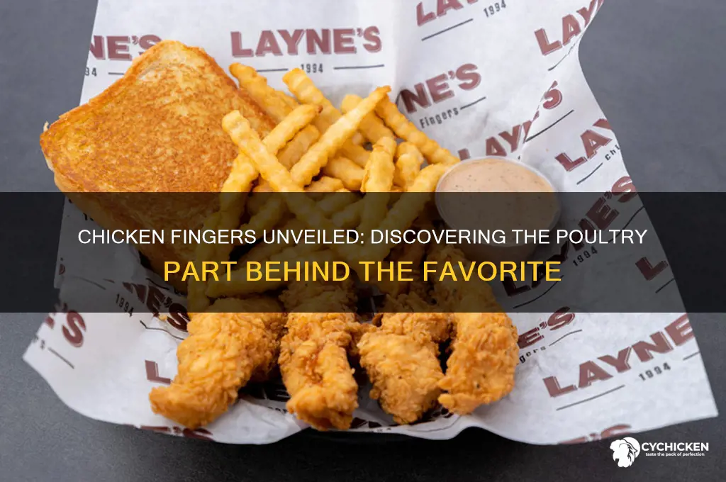 what part of the chicken is chicken fingers