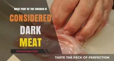 Chicken Anatomy: Where Does Dark Meat Come From?