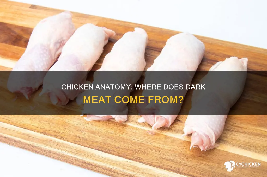 what part of the chicken is considered dark meat