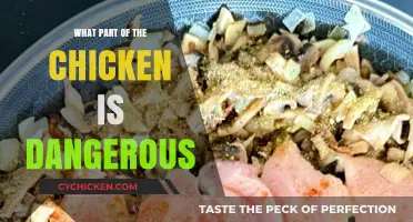 Avoid These Chicken Parts: Hidden Dangers in Your Poultry