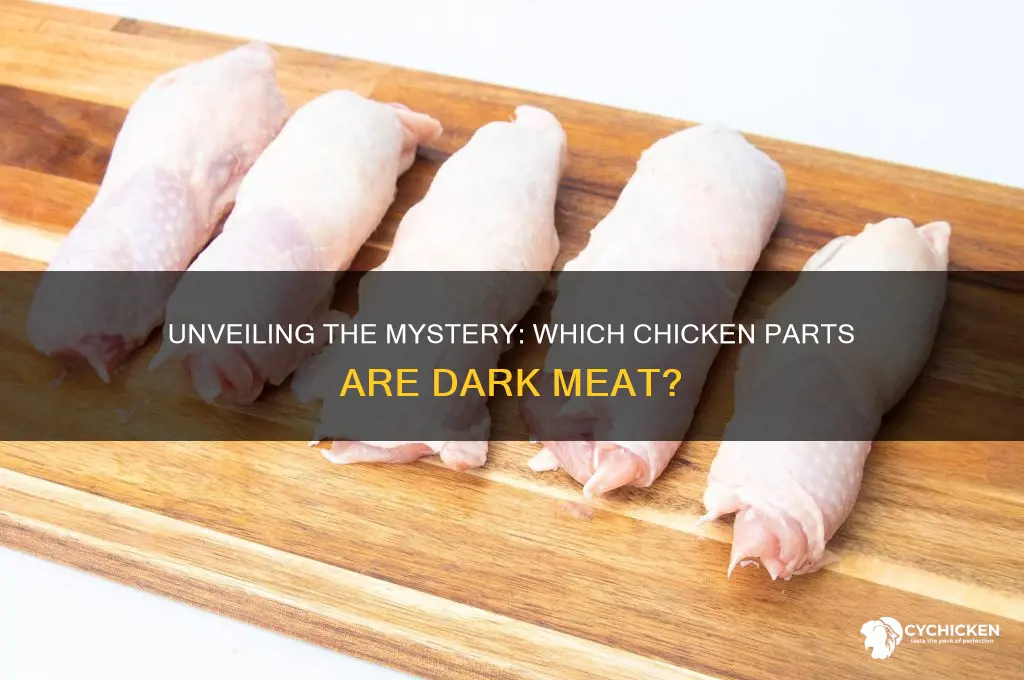 what part of the chicken is dark