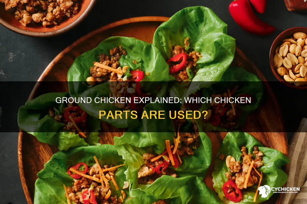 what part of the chicken is ground chicken