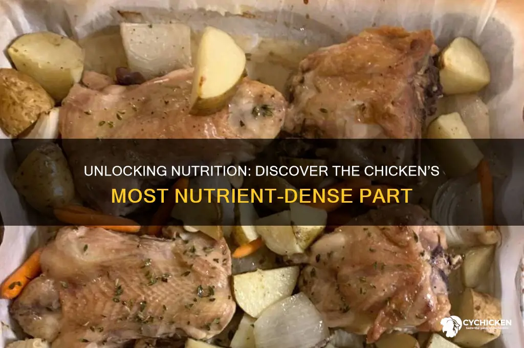 what part of the chicken is most nutritious