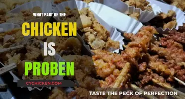Understanding the Chicken Part Used in Proben: A Culinary Guide