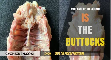 Unveiling the Truth: Identifying the Chicken's Buttocks Explained