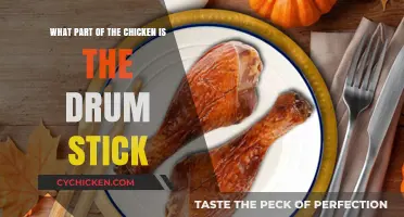 Drumsticks: Know Your Chicken Anatomy