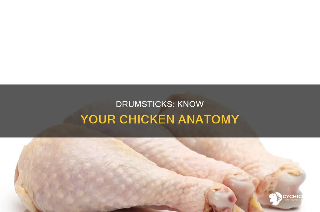 what part of the chicken is the drum stick