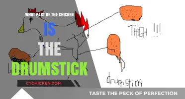 Understanding the Chicken Drumstick: Anatomy and Culinary Uses Explained