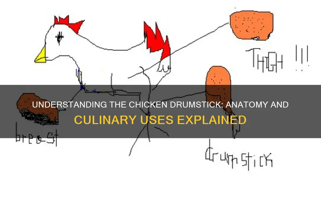 what part of the chicken is the drumstick