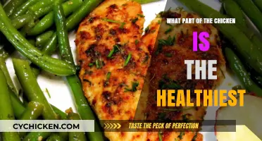 Discover the Healthiest Chicken Parts for Nutritious and Balanced Meals