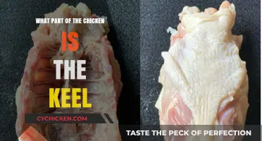 Understanding the Chicken Keel: Anatomy and Culinary Uses Explained