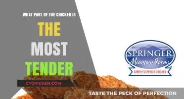 The Tenderest Chicken Cuts: Where to Find the Best Meat