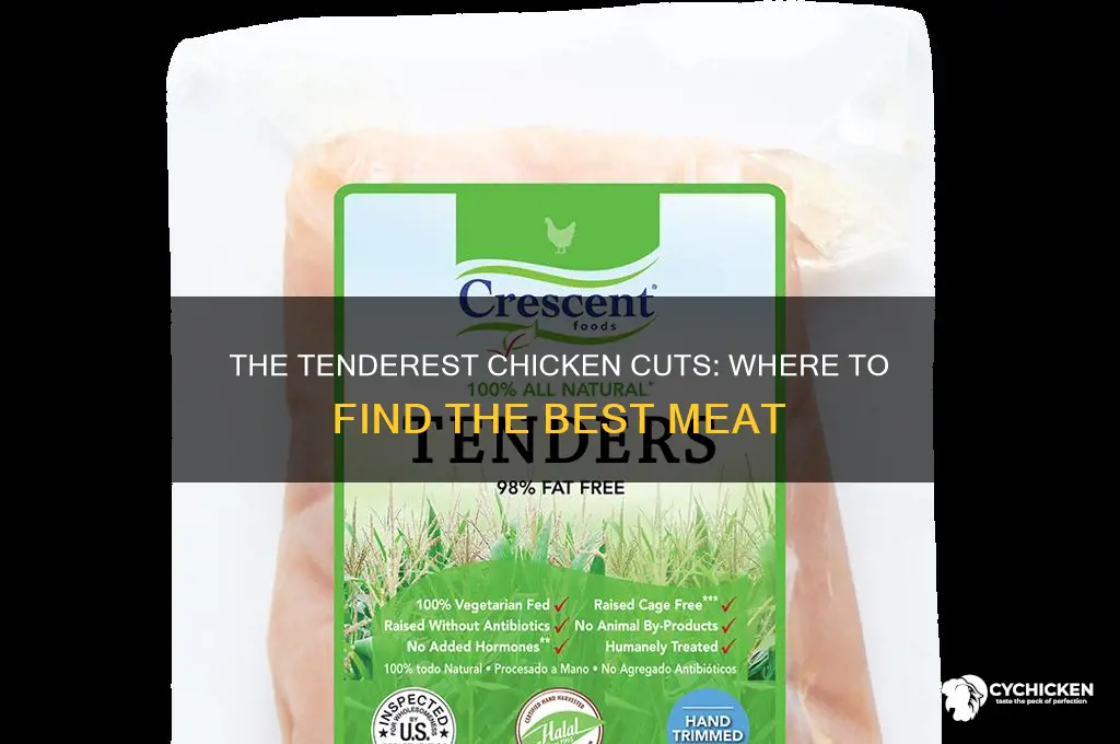 what part of the chicken is the most tender