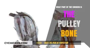 Pulley Bone: What Part of Chicken is it From?