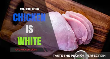 Understanding Chicken Anatomy: Which Parts Make Up the White Meat?