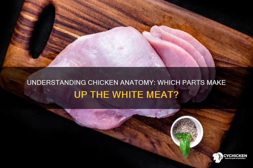 what part of the chicken is white