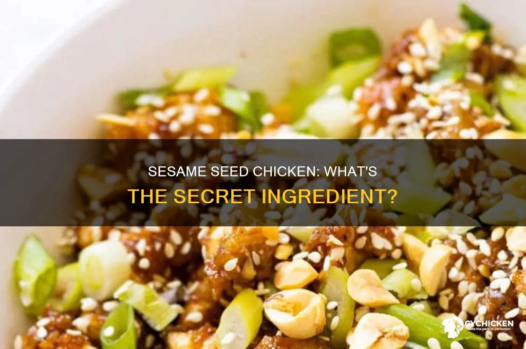 what part of the chiken is in seseme seed chicken