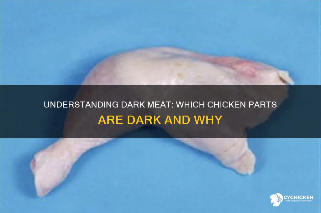 what parts are dark meat on chicken