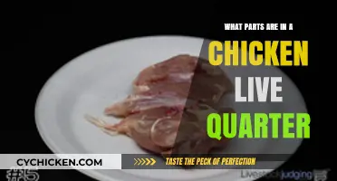 Exploring Chicken Live Quarter: Essential Parts and Their Functions