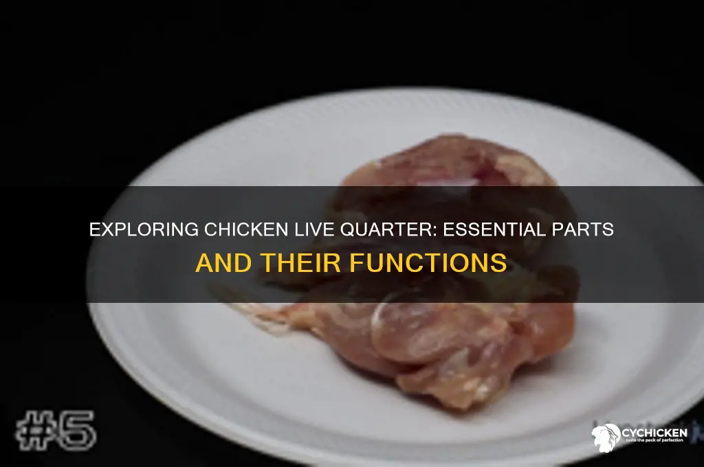 what parts are in a chicken live quarter