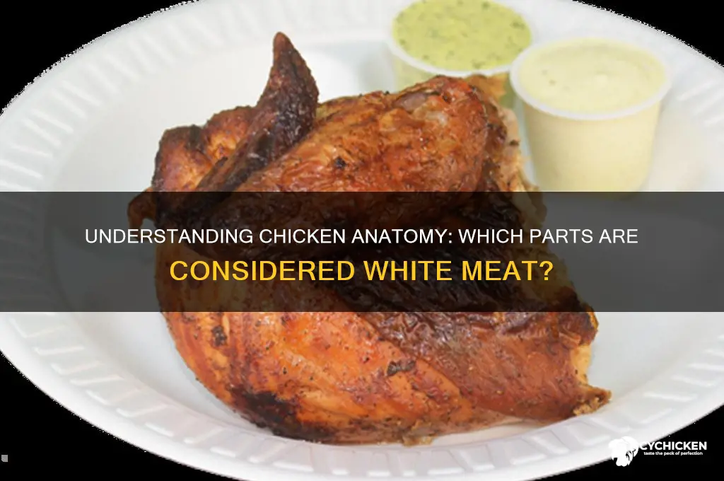 what parts are the white meat on chicken
