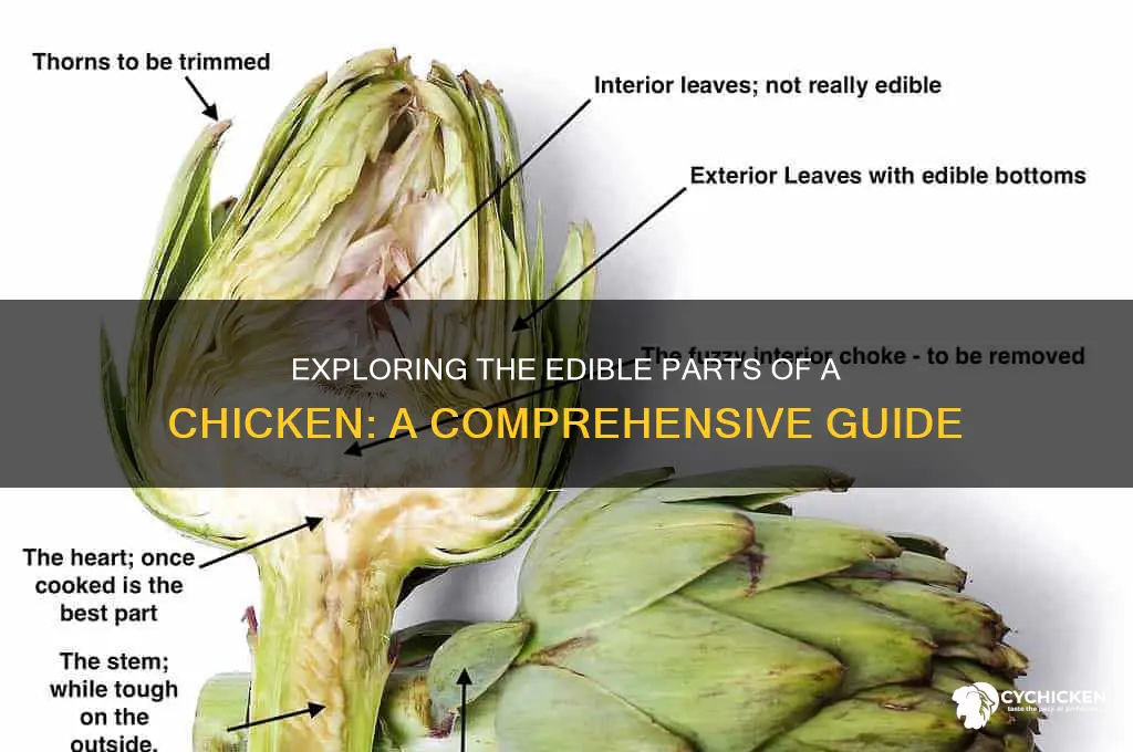 what parts of a chicken are edible