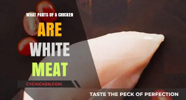 Understanding White Meat: Which Chicken Parts Are Lean and Light?