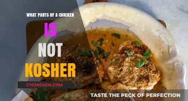 Understanding Kosher Poultry: Which Chicken Parts Are Not Kosher?