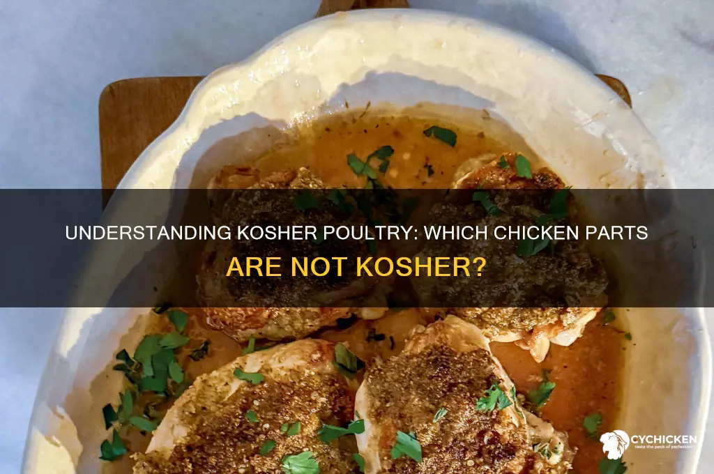 what parts of a chicken is not kosher