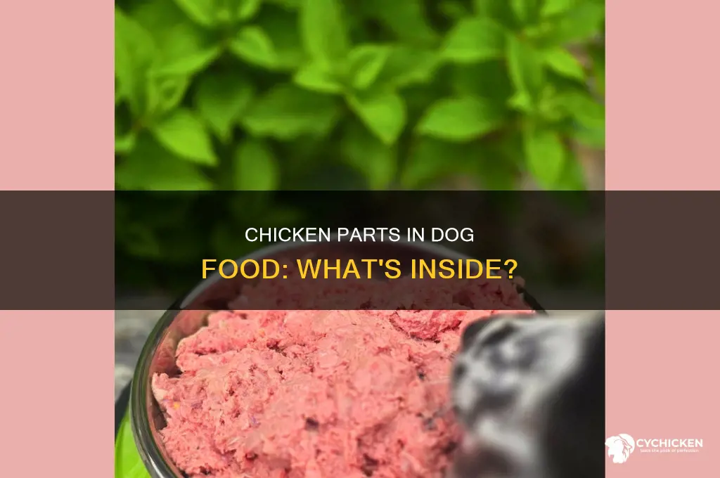 what parts of th chicken are in dog food