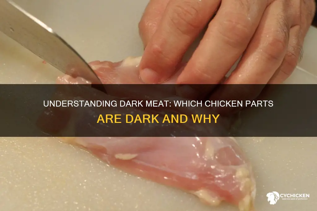 what parts of the chicken are dark meat
